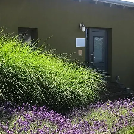 Haus Lavendel Ferienhaus *